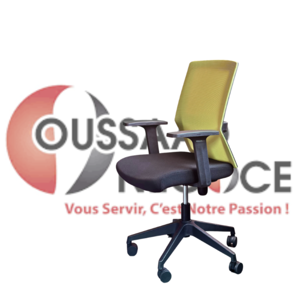 FAUTEUIL PRESIDENT OSN-2106MA