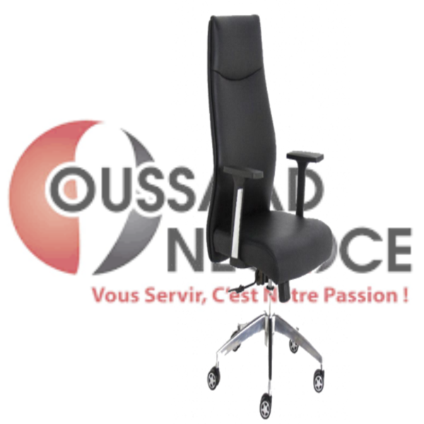 FAUTEUIL PRESIDENT OSN-CO9